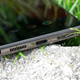 It’s still too soon to get rid of the headphone jack.